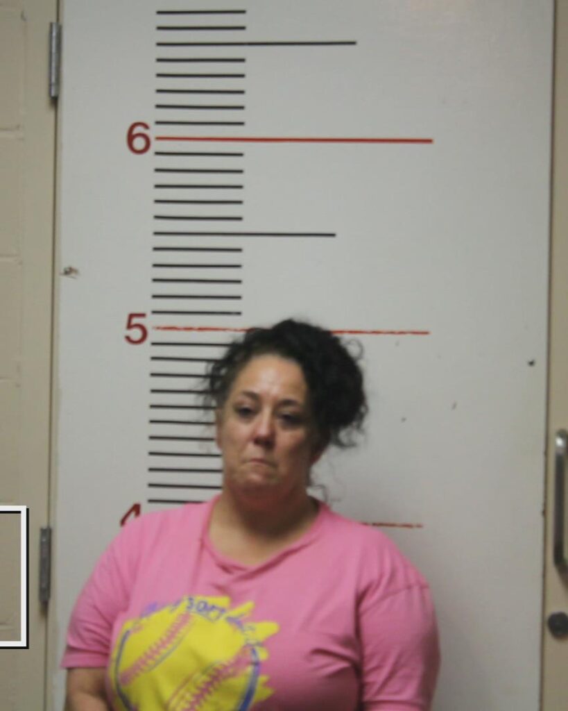 HAYS, GAYLE LYNN booking photo