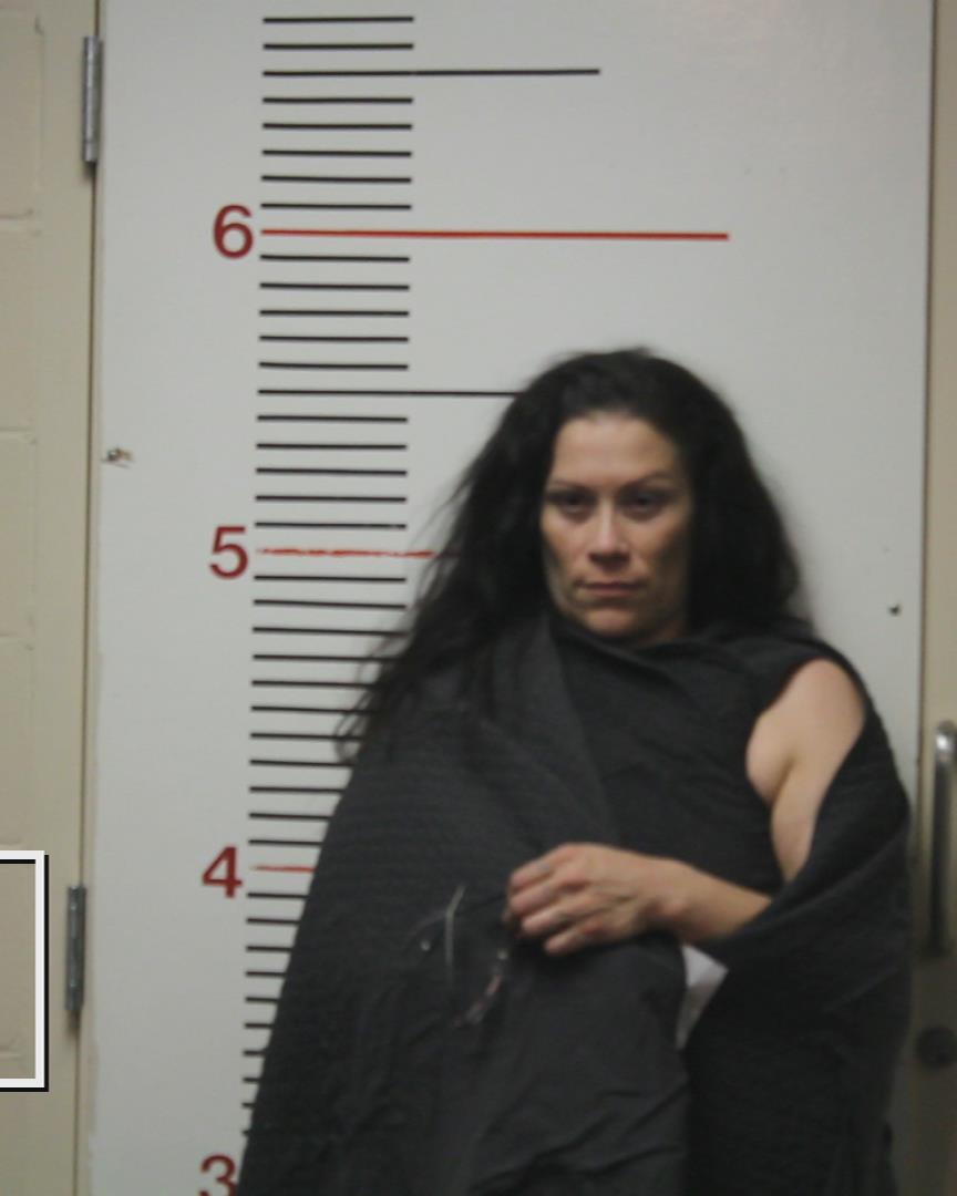 ROMERO, ROSA ANN booking photo