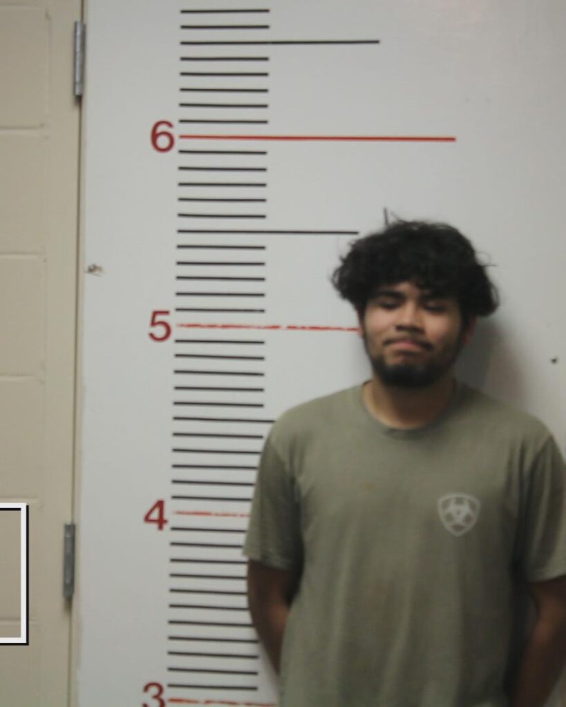 BELTRAN JR, ROBERTO booking photo