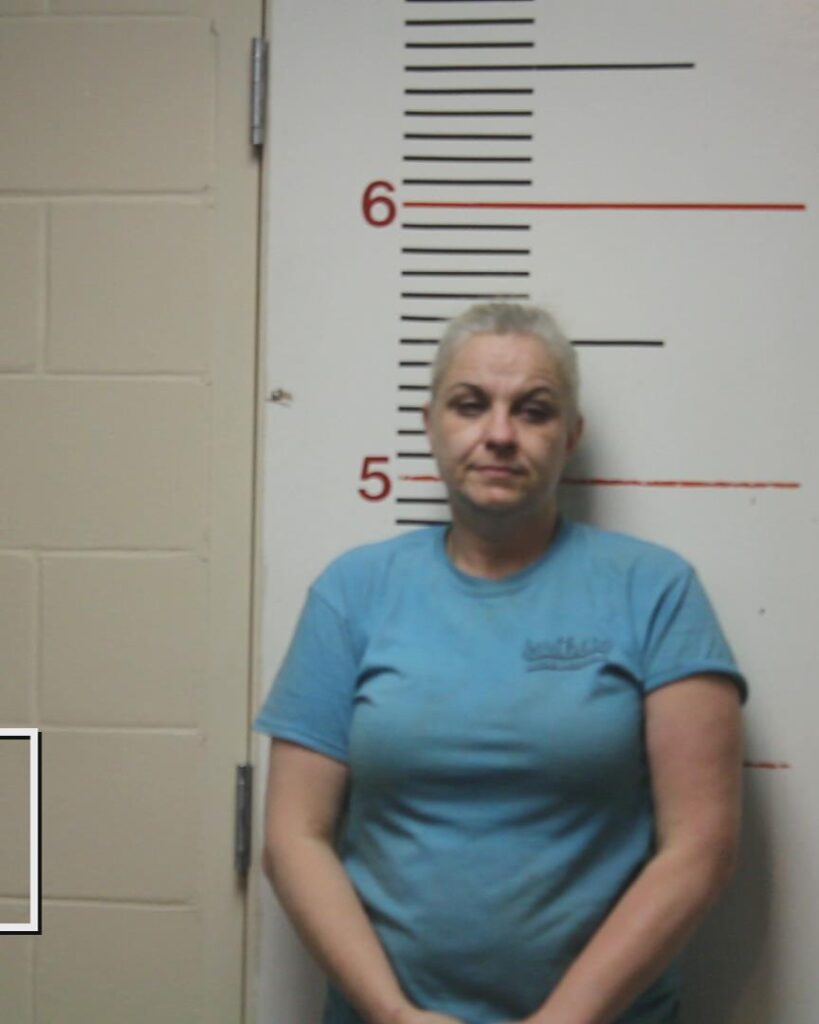 HENDERSON, SHARON RAYNEE booking photo