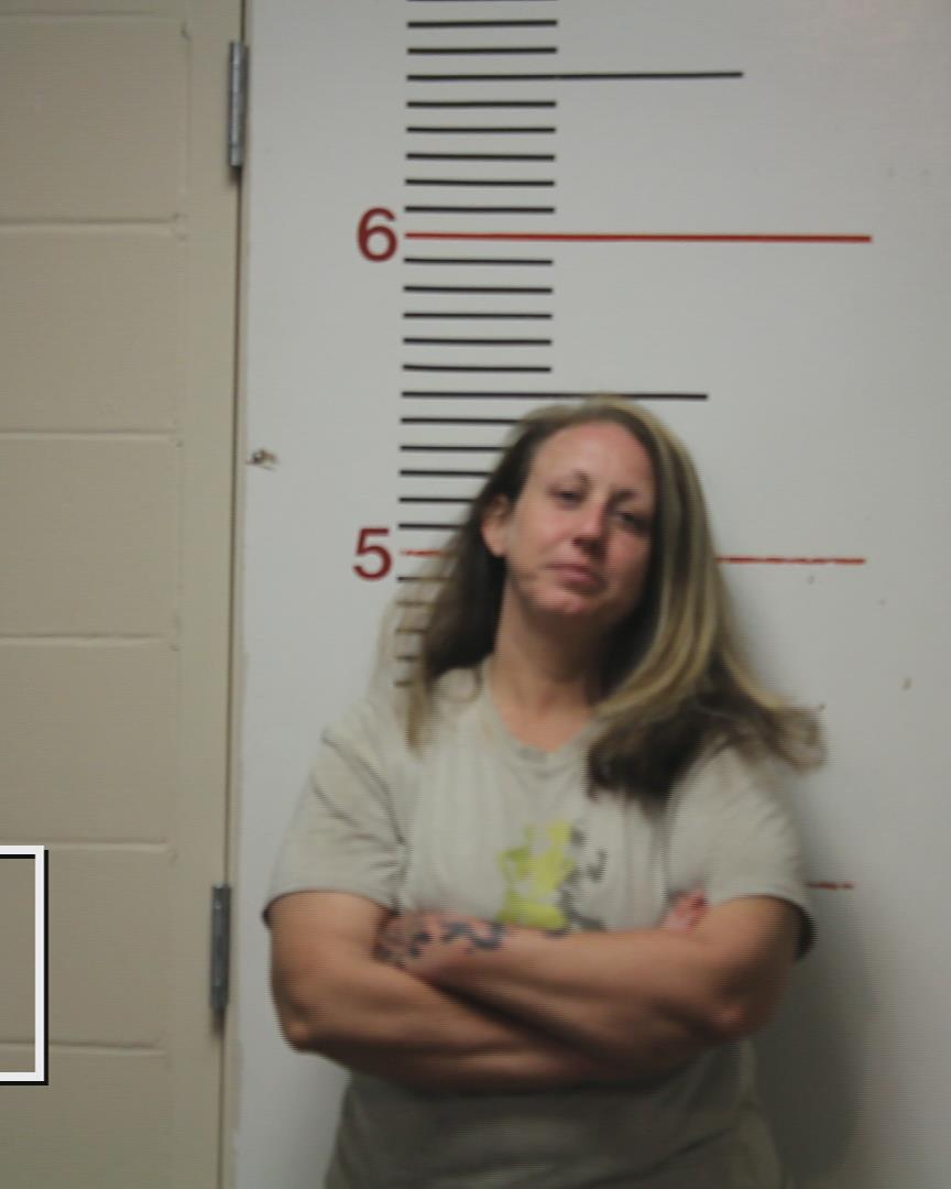 BEARDEN, LINDSAY DIANE booking photo