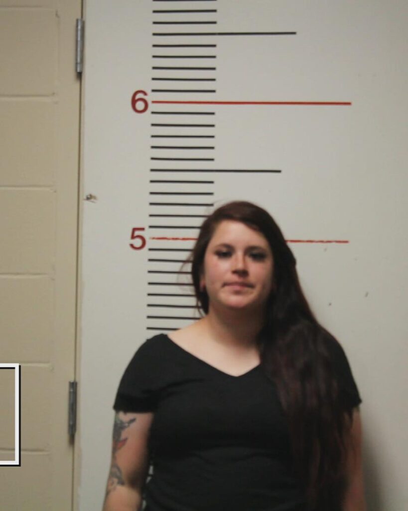 COLLINS, CHEYENNE MARIE booking photo