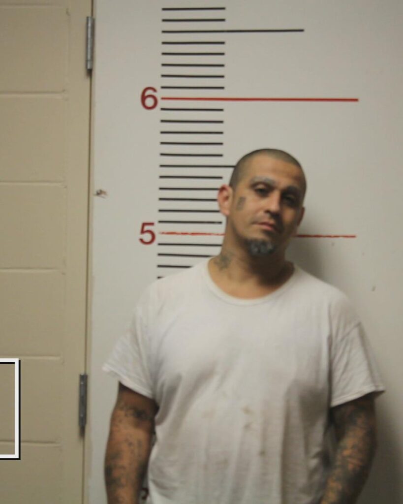 ALMAREZ, DANIEL, Jr. booking photo