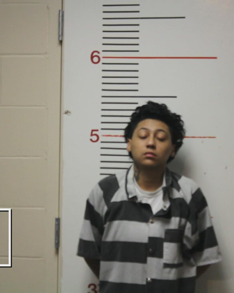 LAWSON, SHABANA LASHELLE booking photo