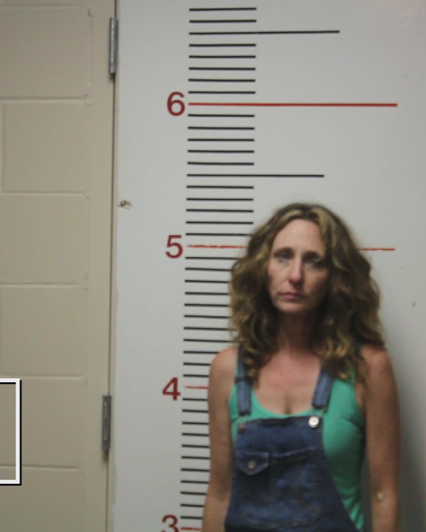 COLLINS, TONI MICHELLE booking photo