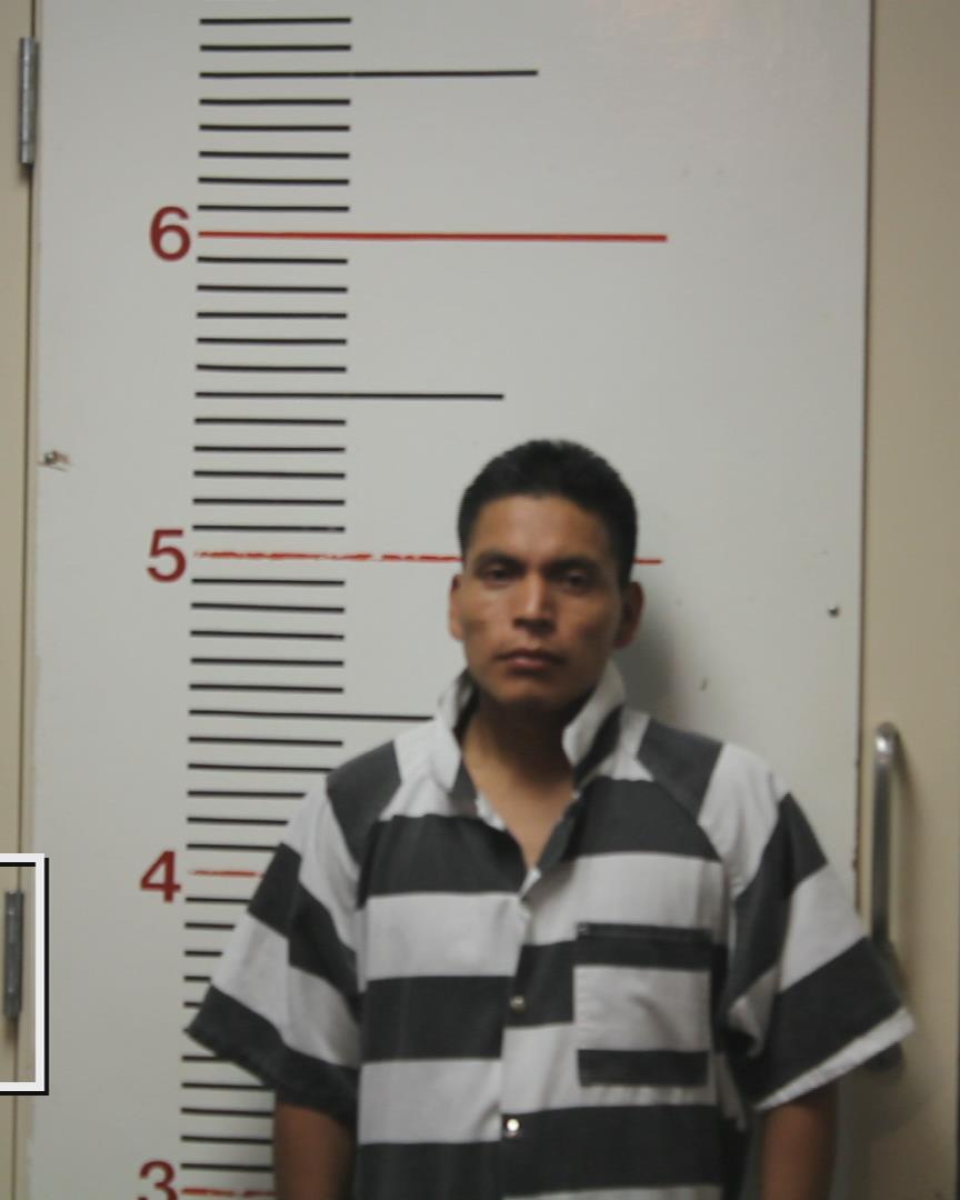 CINTO-CASTANON, MARINO booking photo