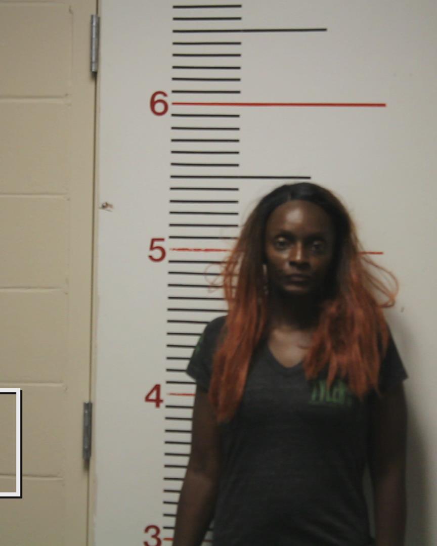 THOMPSON, AMANDA NICOLE booking photo