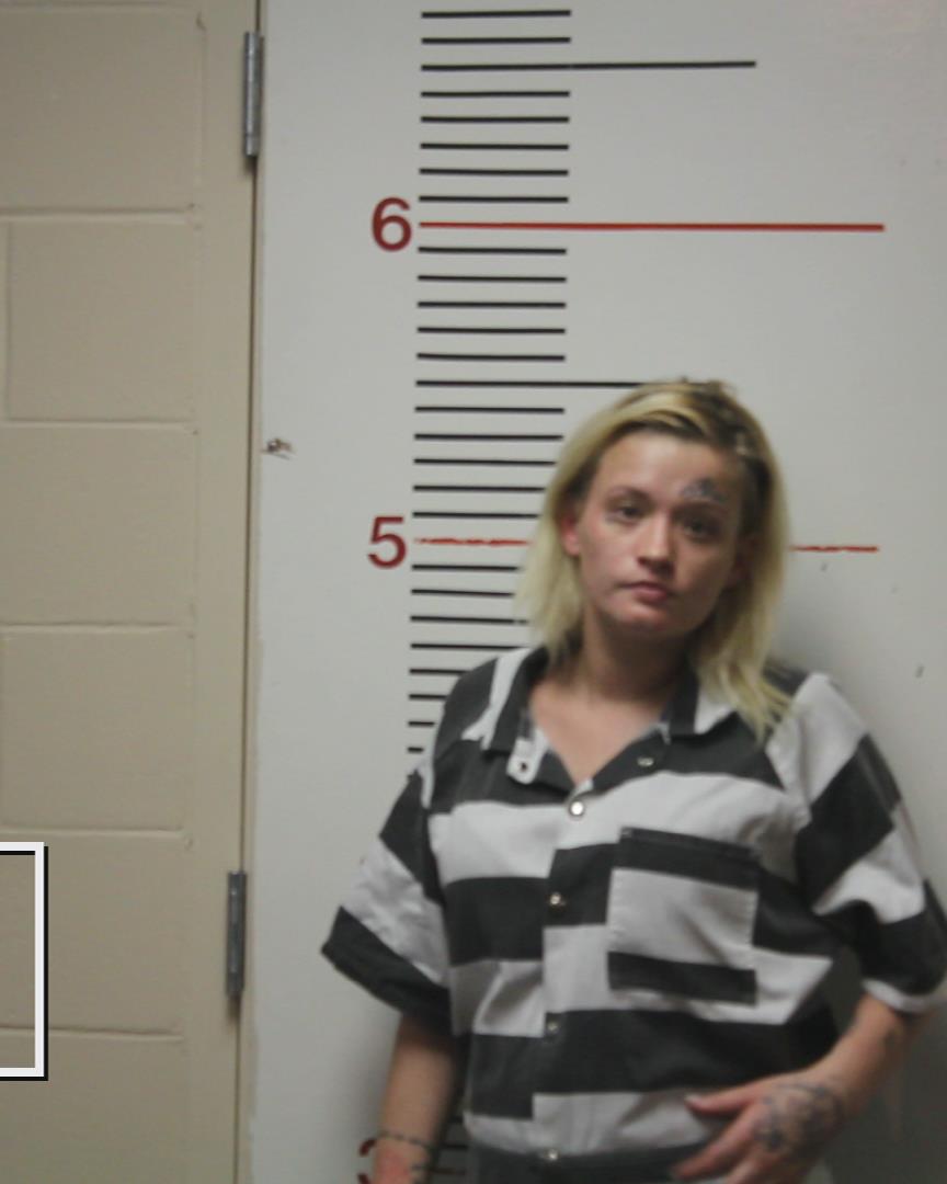 JONES, SHEILA FRANCINE booking photo