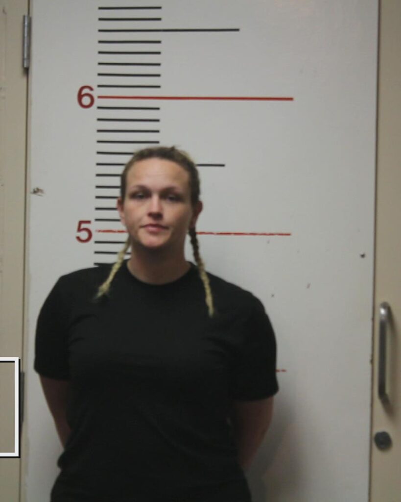 Gellner, Dianna Kay arrest record in Anderson County, Texas Gellner, Dianna Kay arrested in Anderson County, Texas mugshot