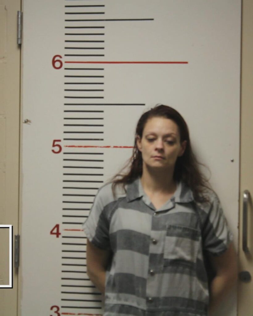 MCDONALD, HOLLY ANN arrest record in Anderson County, Texas MCDONALD, HOLLY ANN arrested in Anderson County, Texas mugshot