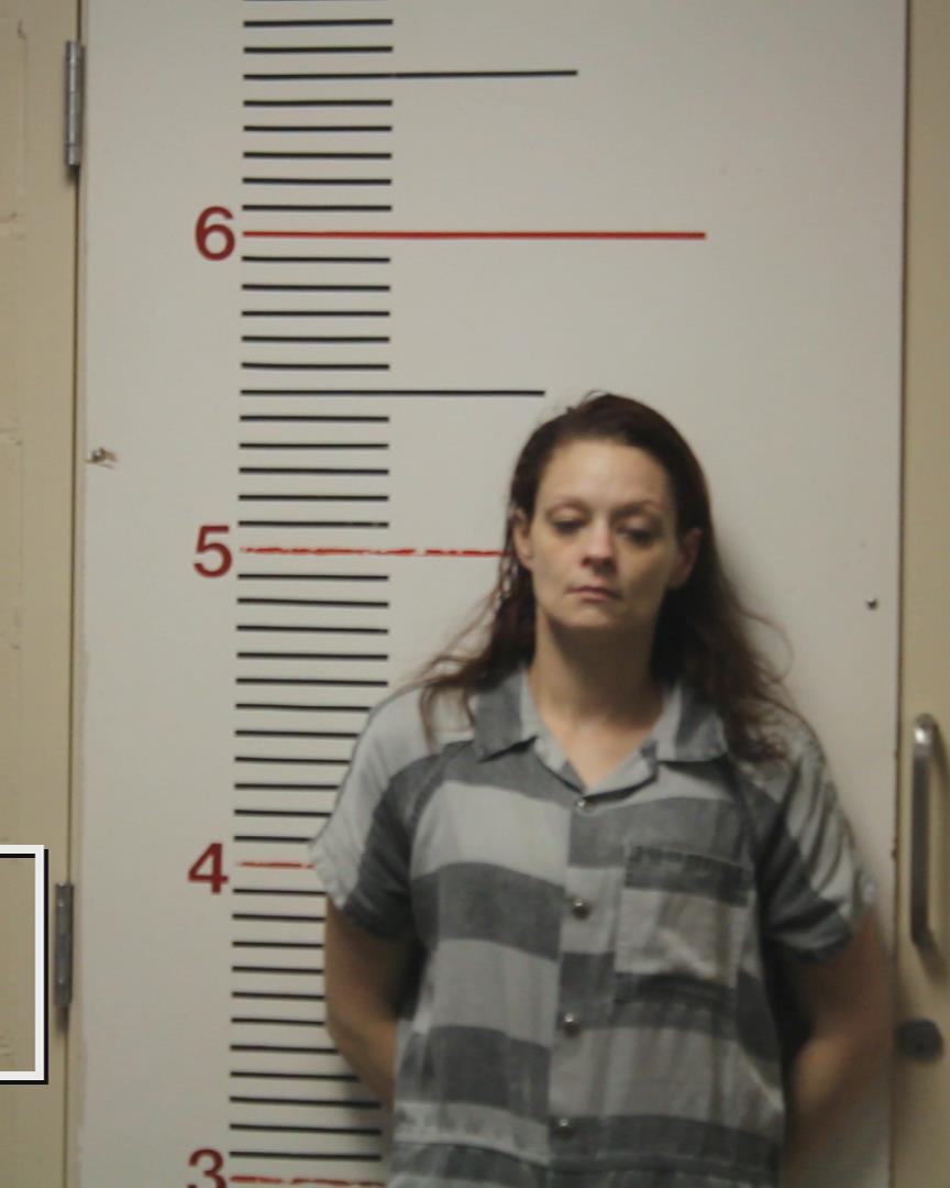 MCDONALD, HOLLY ANN booking photo
