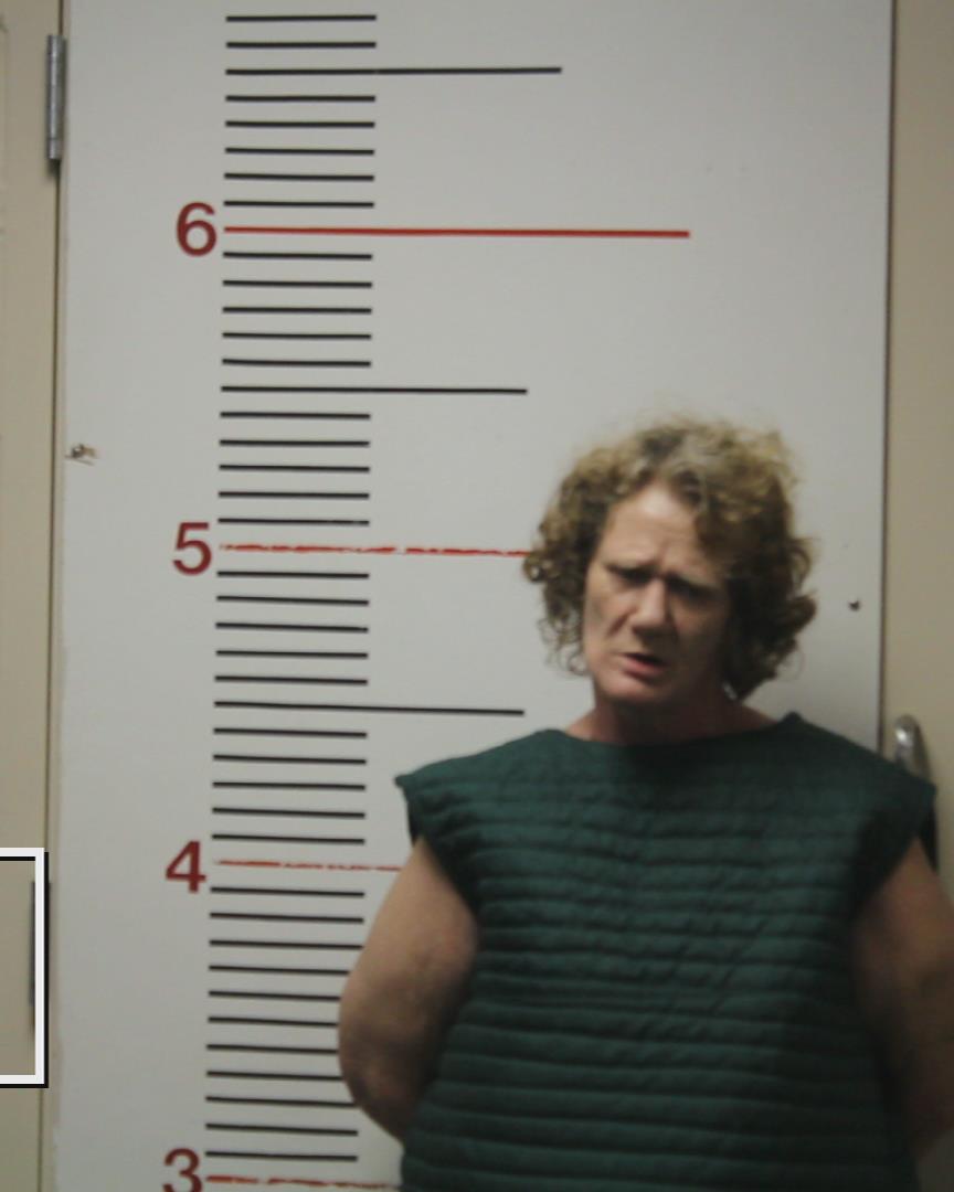 GREEN, SHEILA CORBIT booking photo