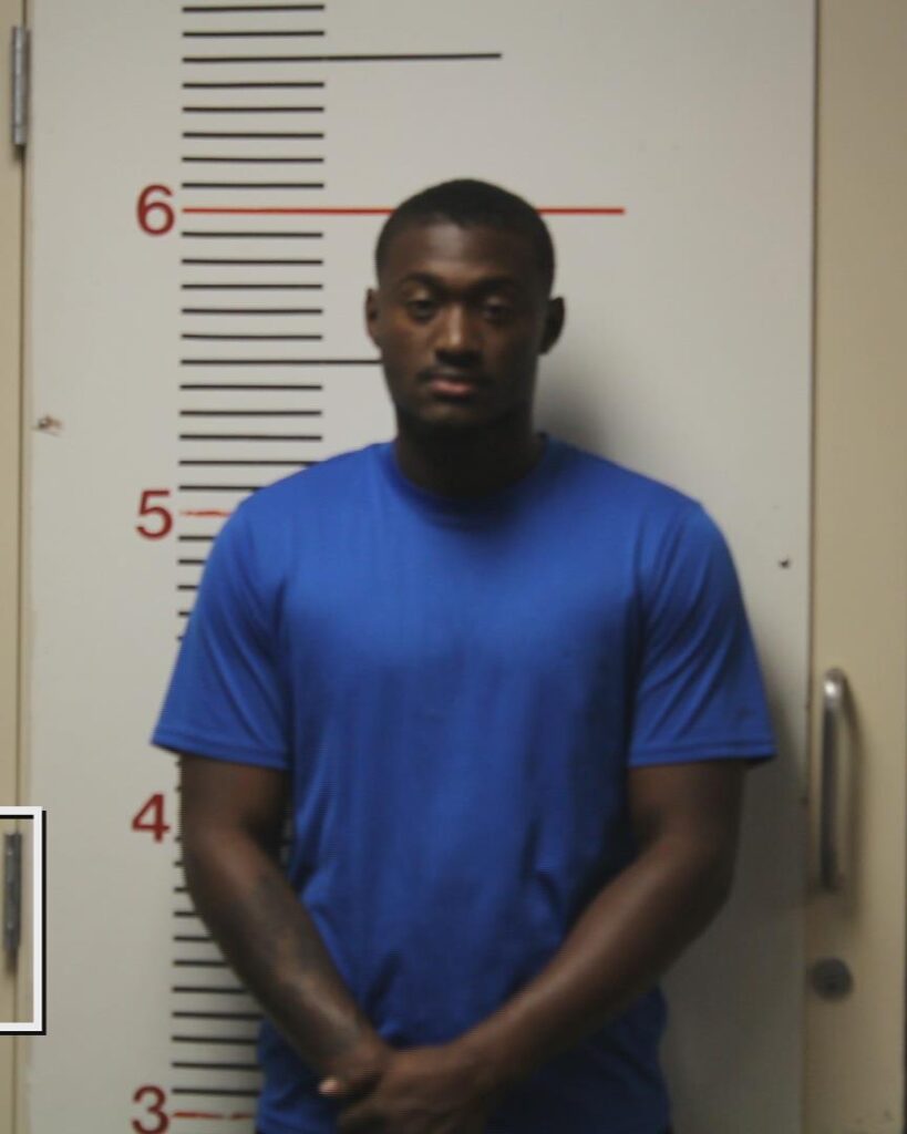 WILSON, JALYN JUWON arrested in Anderson County, Texas mugshot