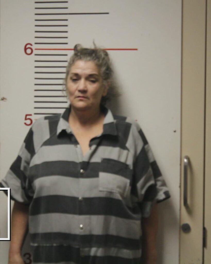 JAMES, SHELIA ALANE arrest record in Anderson County, Texas JAMES, SHELIA ALANE arrested in Anderson County, Texas mugshot