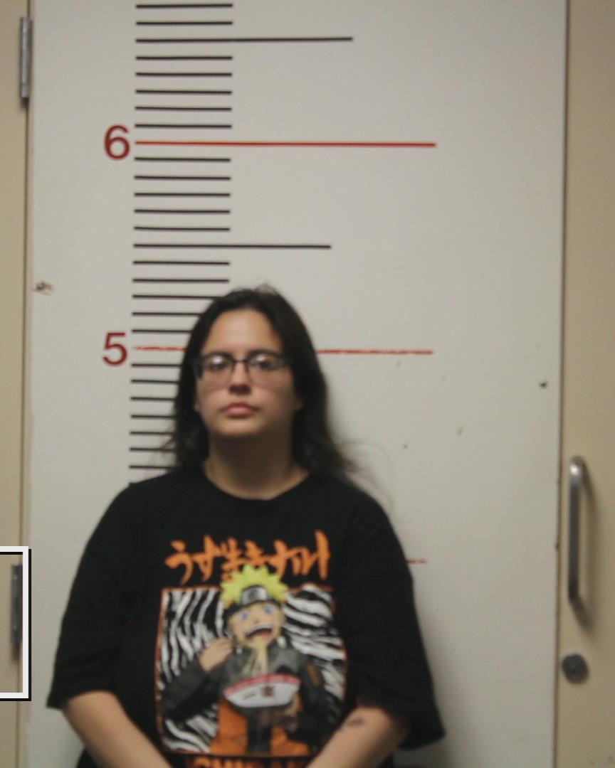 GONZALES, ALEXIS NICOLE booking photo