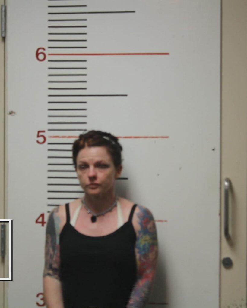 GOLDMAN, KATHRYN ANNETTE booking photo