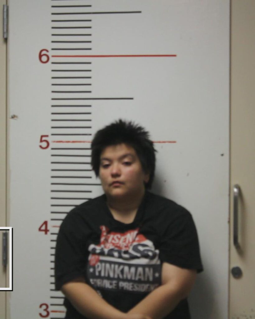 HERNANDEZ, REBECCA SHEYENNE booking photo