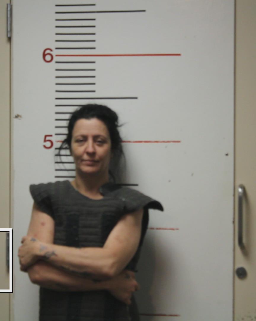 WILSON, HOLLY NICOLE booking photo