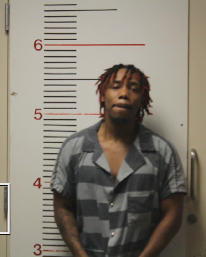 HUTCHISON, LURENZA WAYNE booking photo