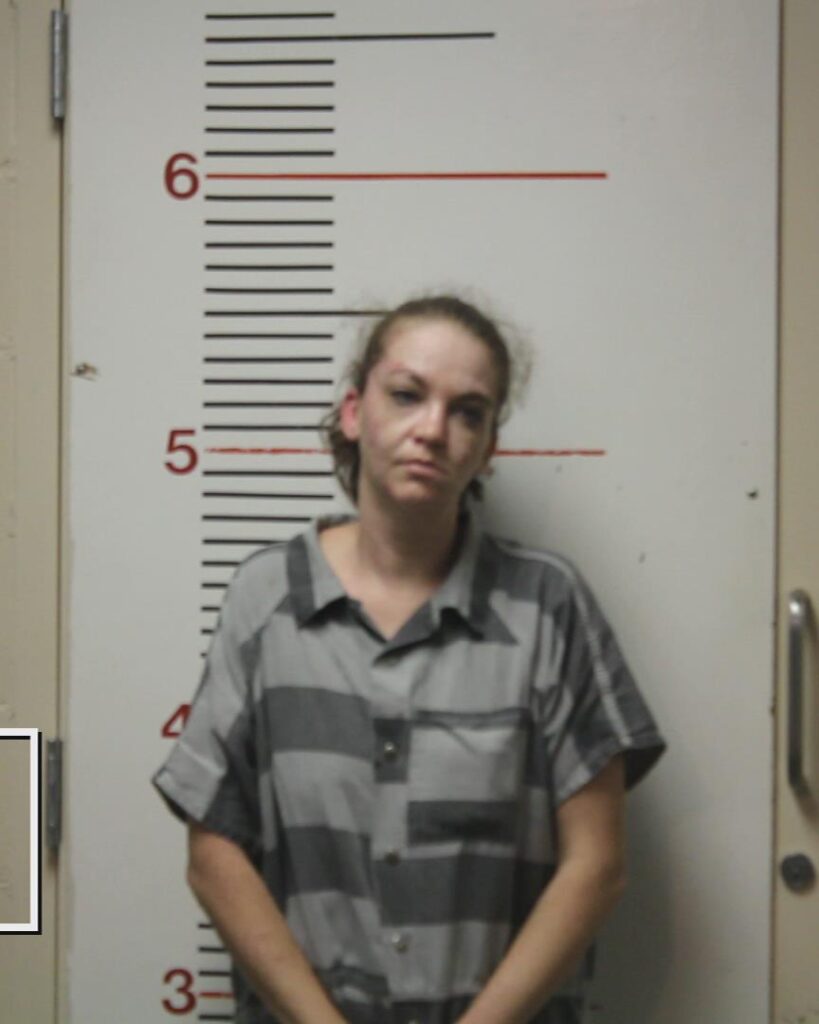 BURFORD, TABITHA ANNE booking photo