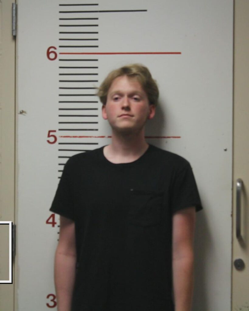 SHANNON, DRAVEN DALE booking photo