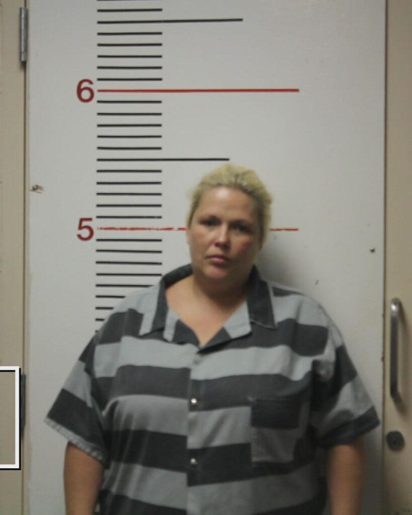 DINE, APRIL LYNN booking photo