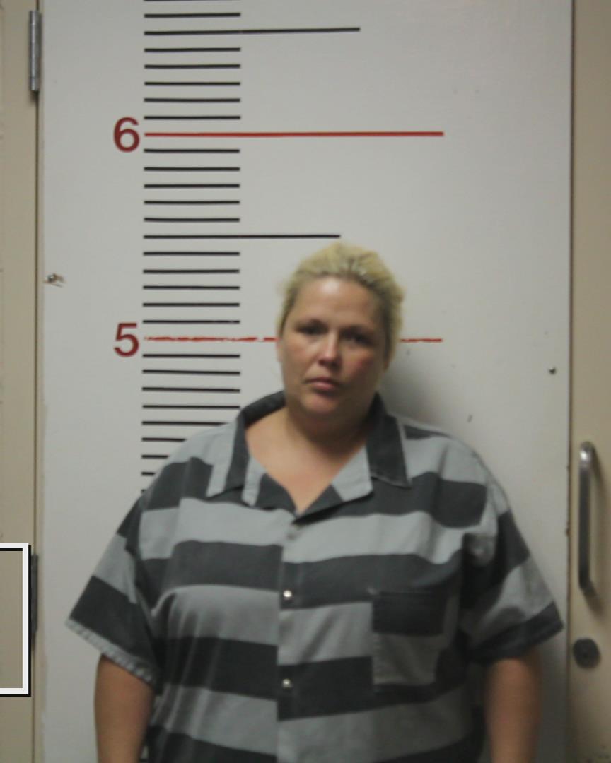 DINE, APRIL LYNN booking photo