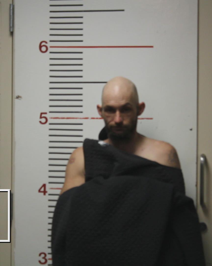 LIVELY, JAMES MICHAEL booking photo