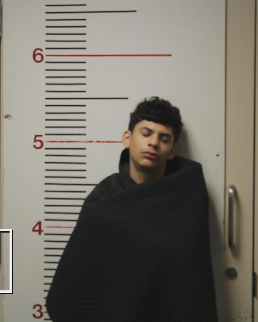 SIMIEN, DAIMEAN JON booking photo