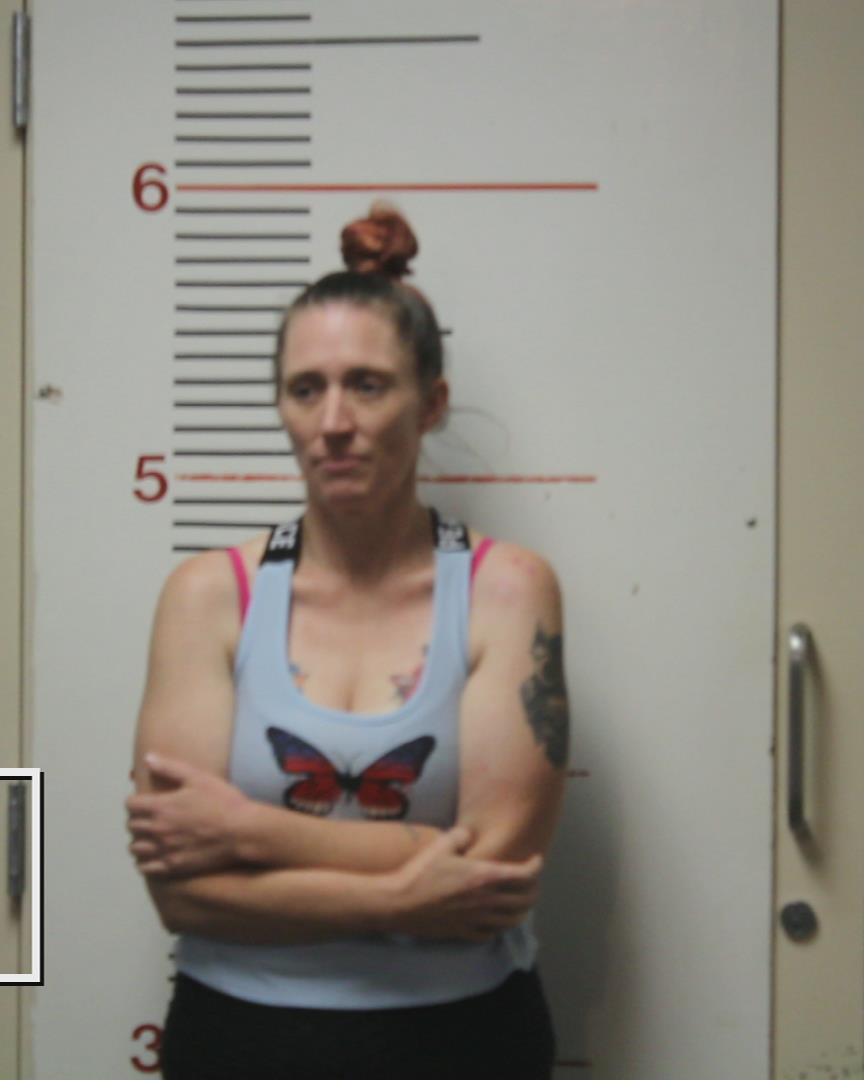 POWELL, VALERIE RENEE booking photo