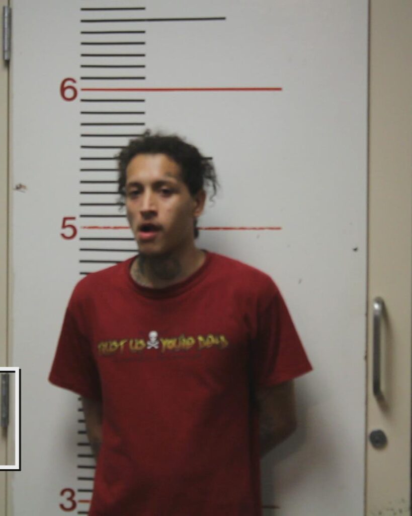 ORTEGON, ROBERT LUIS booking photo