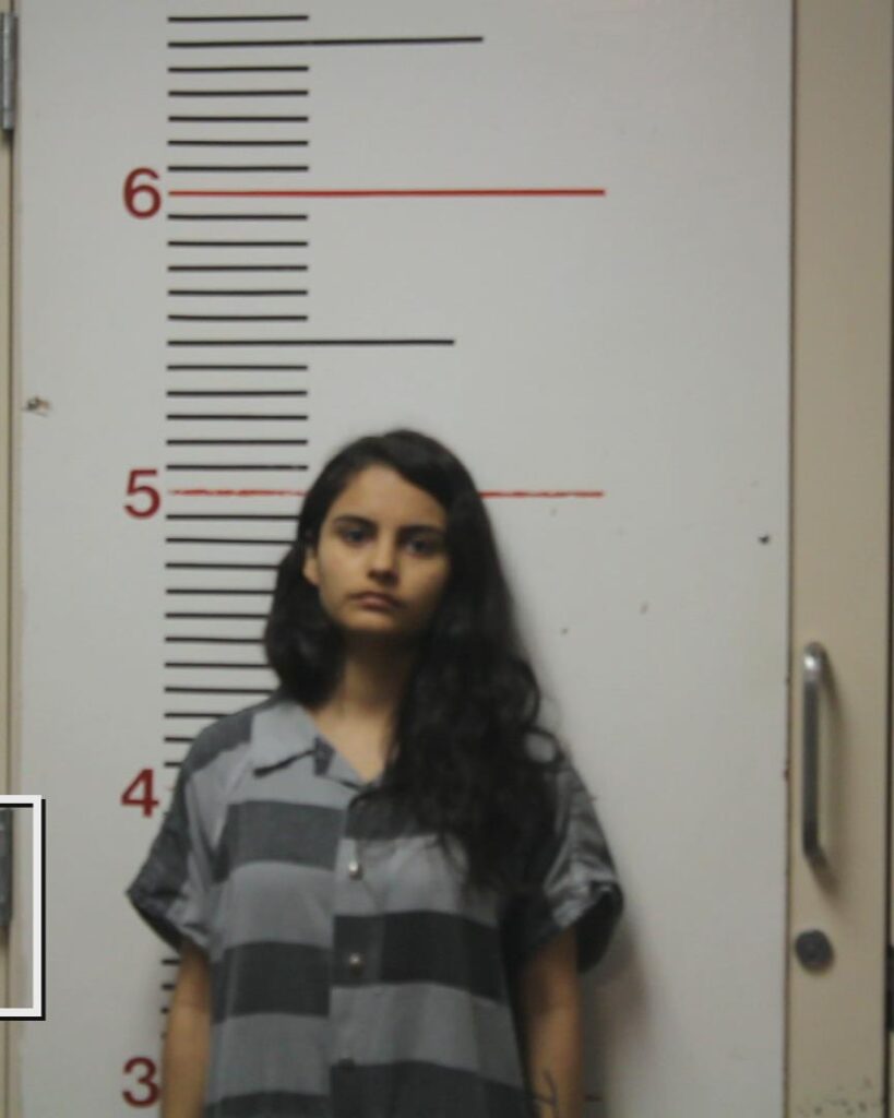 RAMIREZ, ESTRELLA CELESTE booking photo