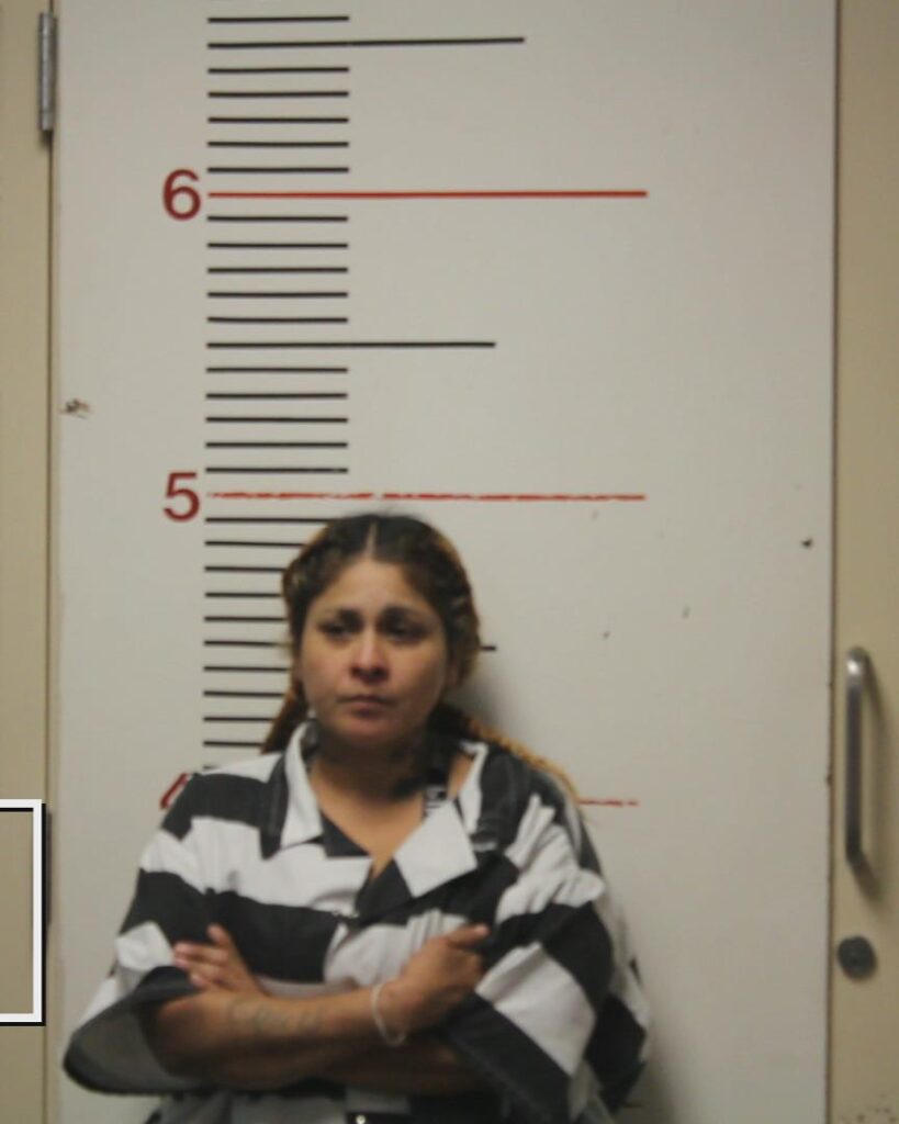 FLORES, PAULA booking photo