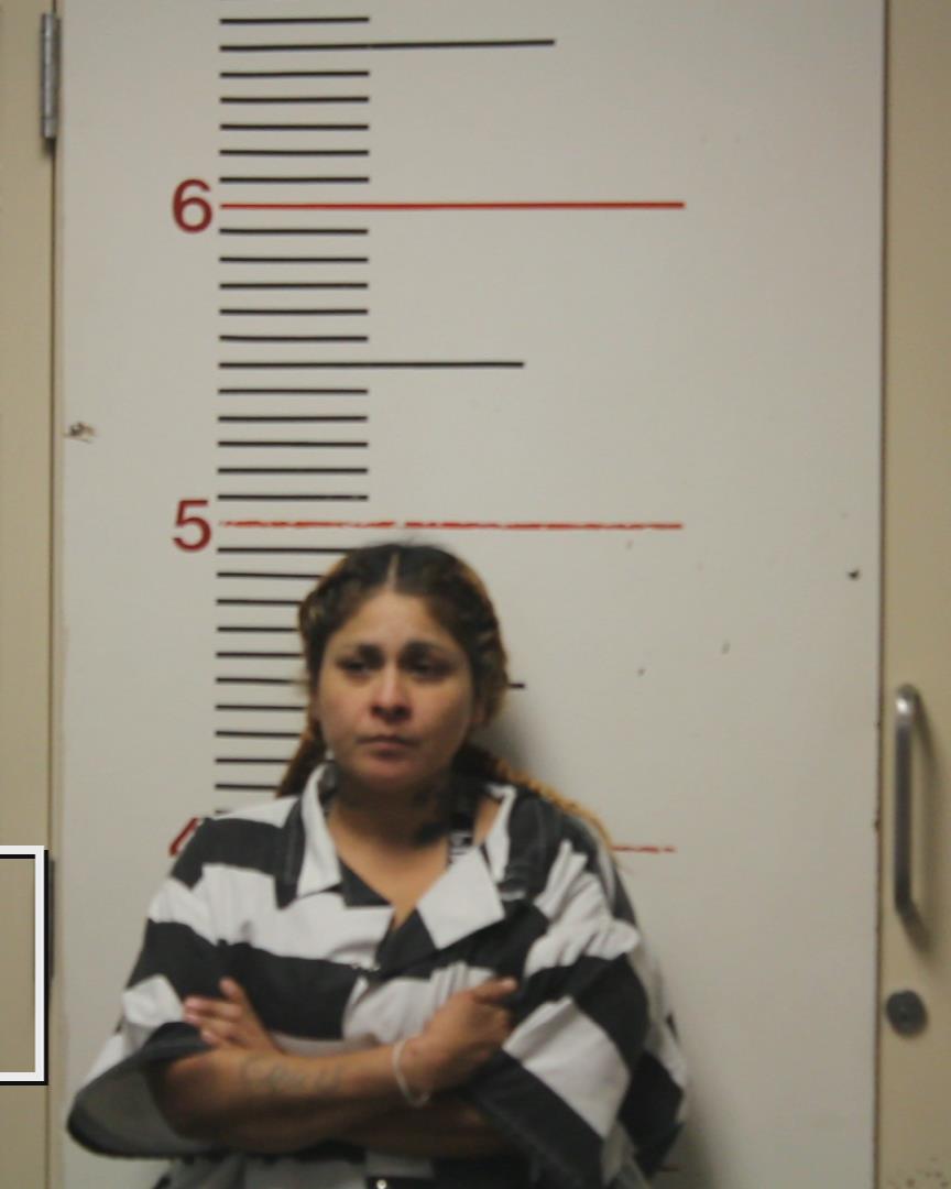 FLORES, PAULA booking photo