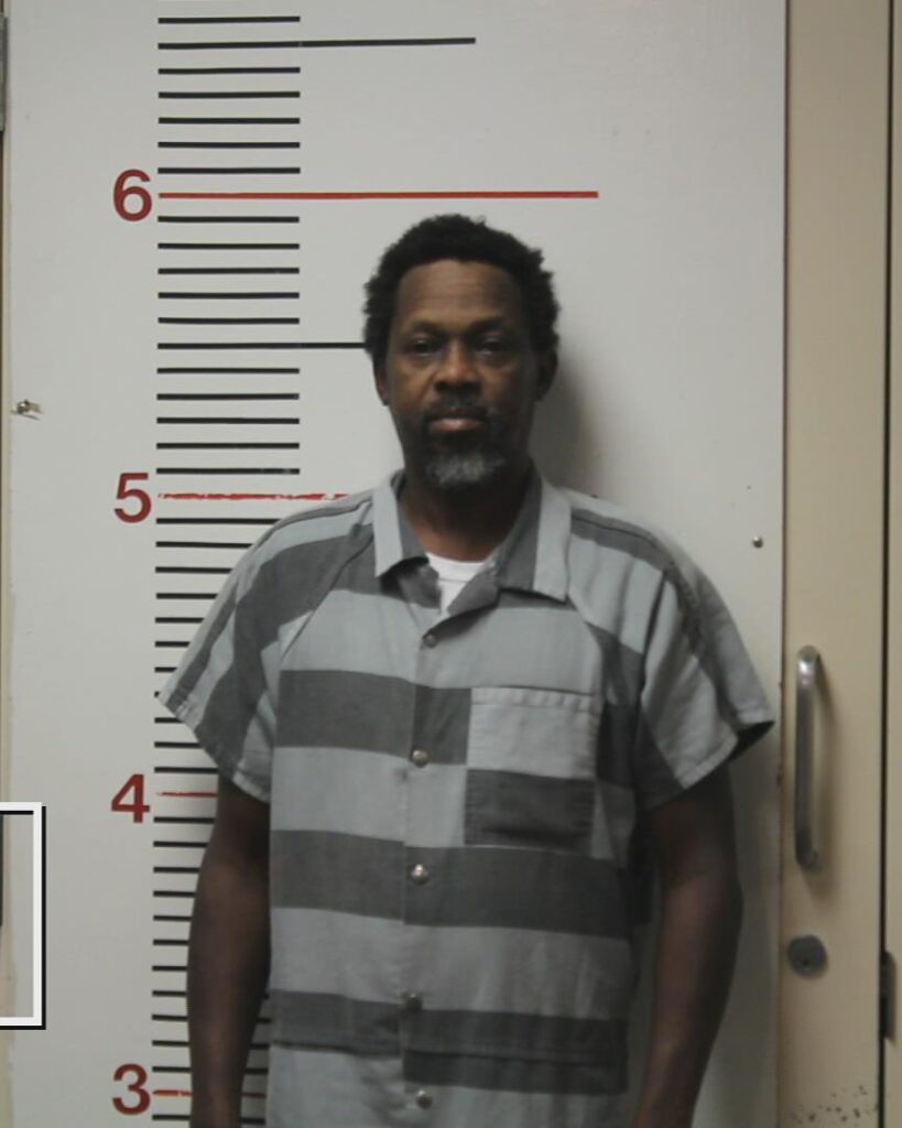 DAVIS. JR, LEE VORD, Jr. booking photo