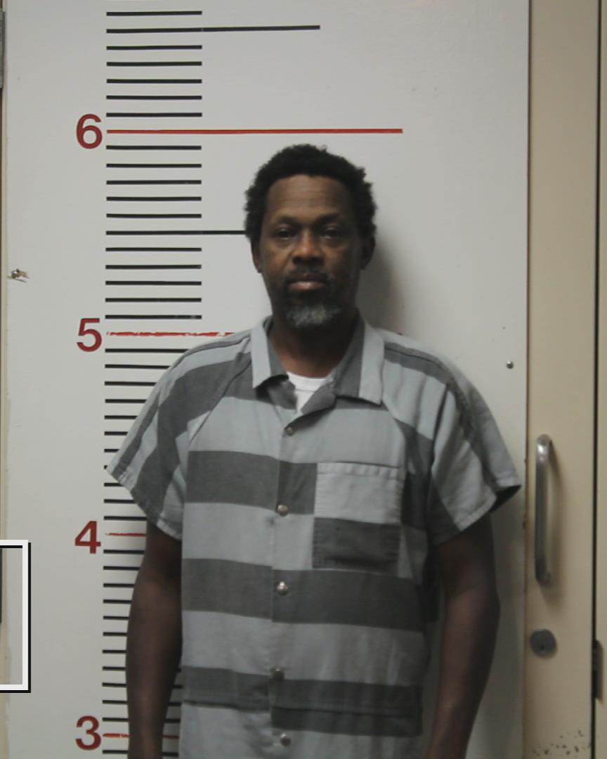 DAVIS. JR, LEE VORD, Jr. booking photo