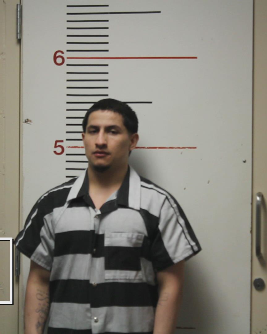 PATINO, ROLANDO GAMEZ booking photo