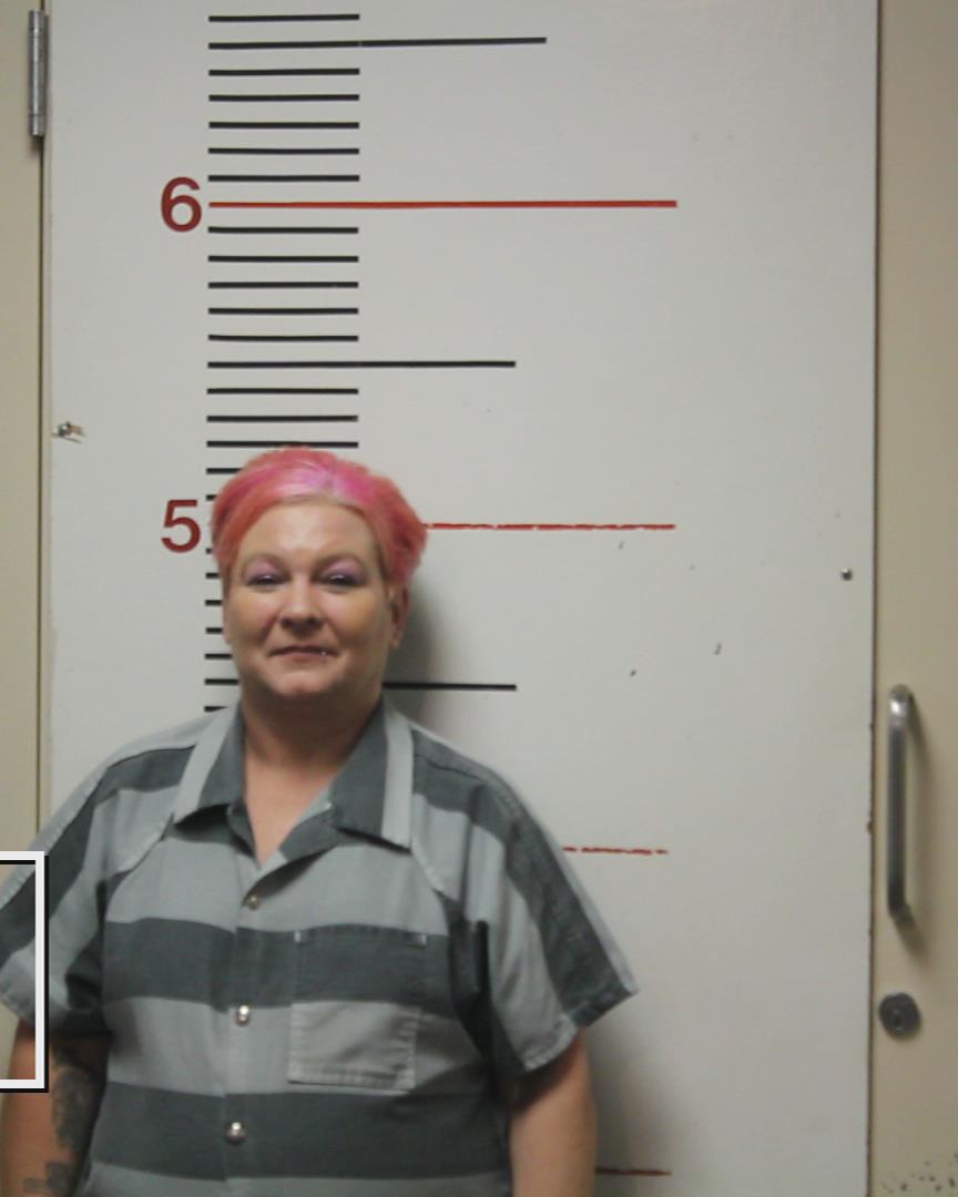 LEININGER, LISA BERNICE booking photo