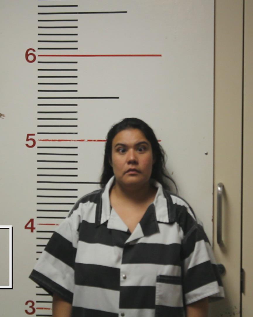 SIERRA, MARIA JUANITA booking photo