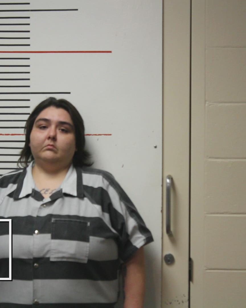 CAPPS, AMANDA NICOLE booking photo