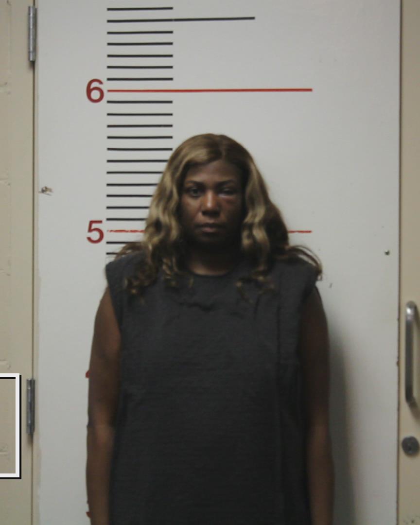 JACKSON, WANDA CLAYTON booking photo