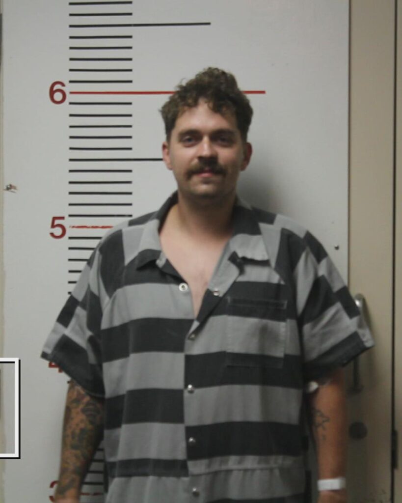 LEWIS, CHARLES DAVID booking photo