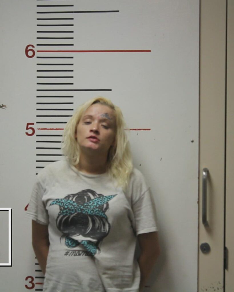 JONES, SHEILA FRANCINE booking photo