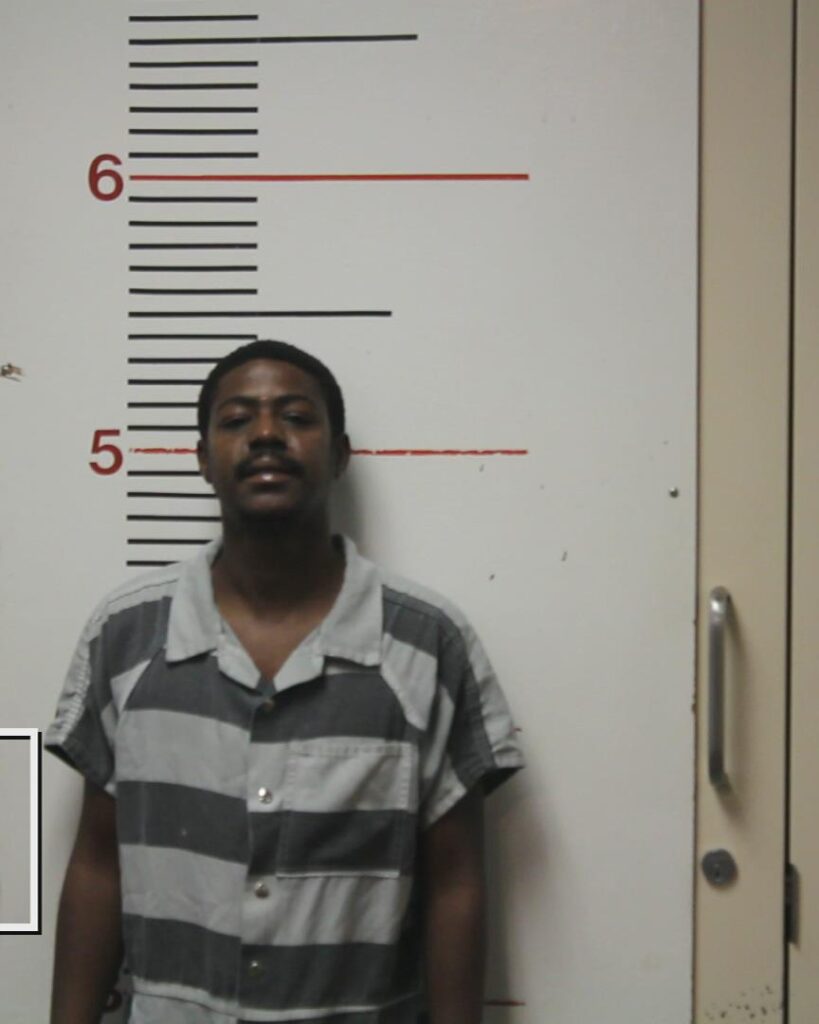 SHEPHERD, LESTER JAMES, Jr. booking photo