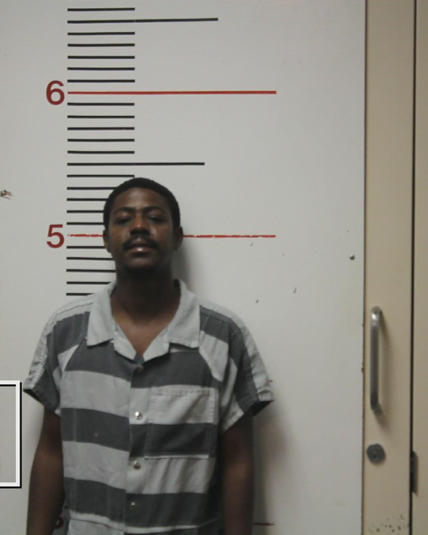 SHEPHERD, LESTER JAMES, Jr. booking photo