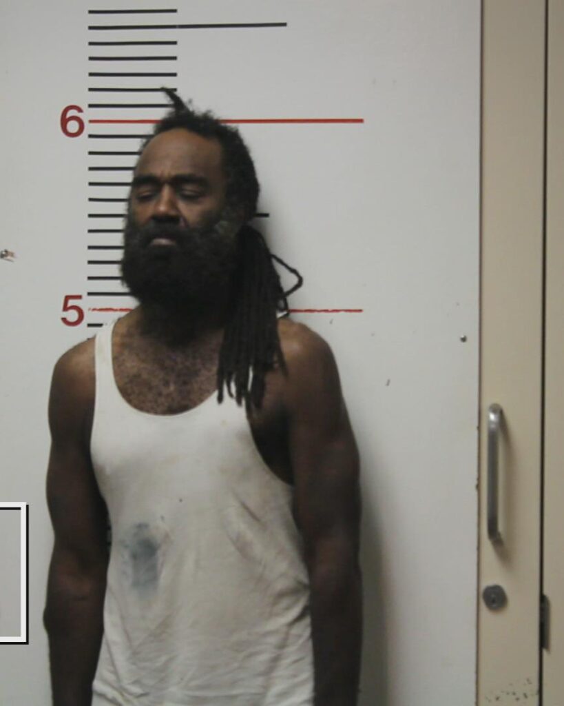 PINSON, TIROYN LAGETT booking photo