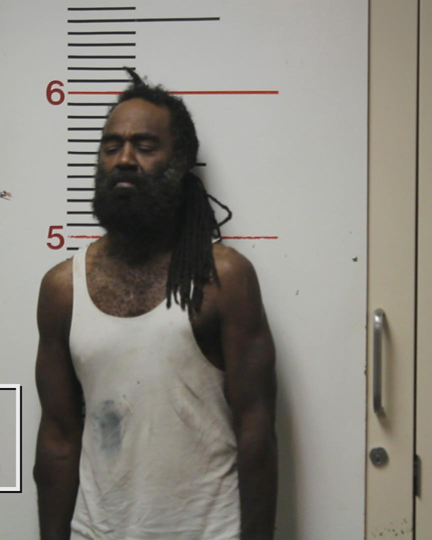 PINSON, TIROYN LAGETT booking photo