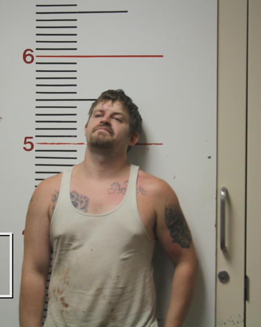 NORRIS, DAVID ODALE booking photo