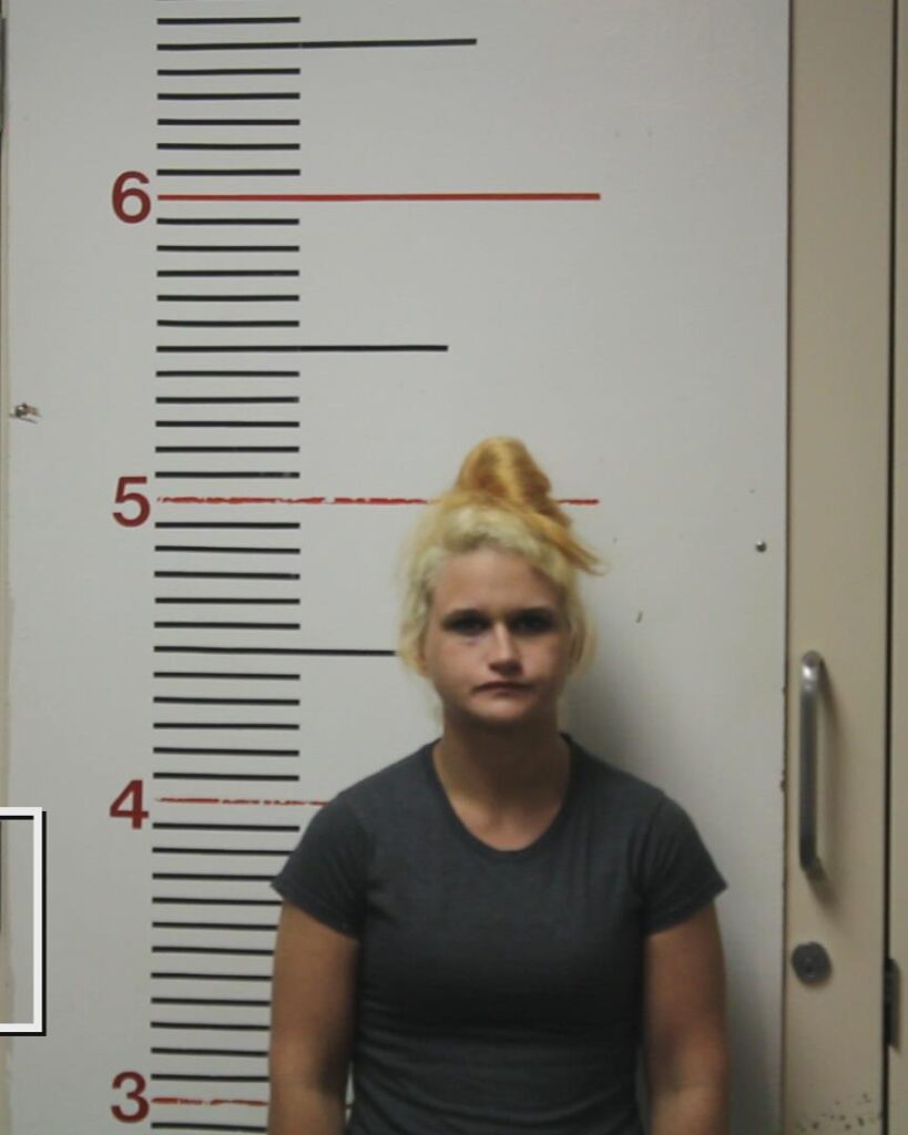 ATWOOD, BRANDY KAY booking photo