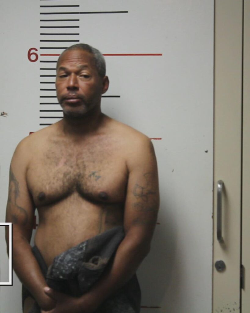 WARREN, NIKKI CORNELIUS booking photo